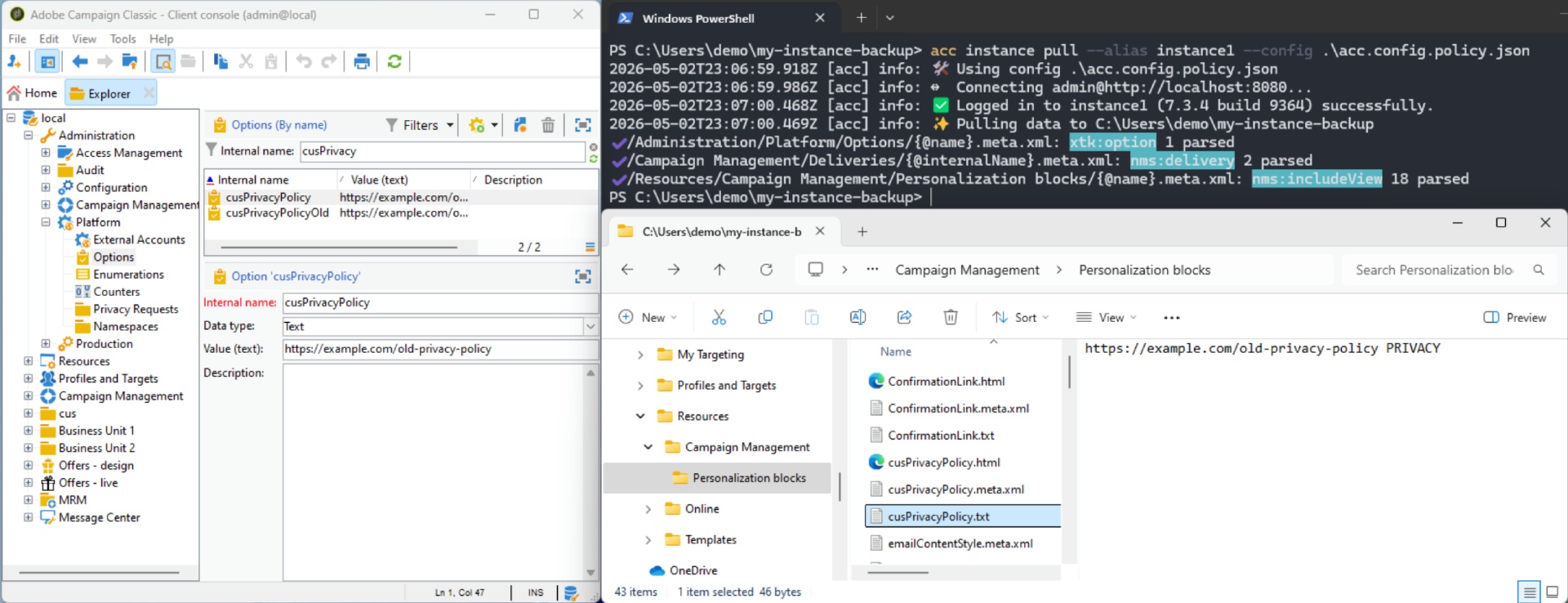 acc downloads Personnalization Blocks, Deliveries and Options